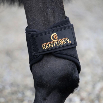 Beenbeschermers 3D Spacer Hind Short Zwart