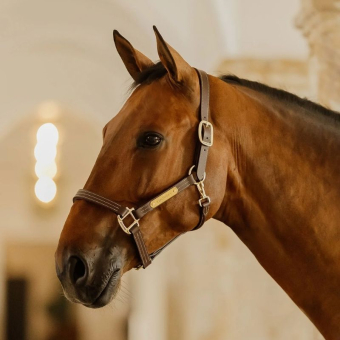Leren halster Artificial Wellington Bruin
