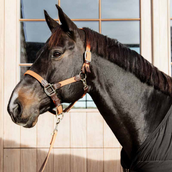 Halster Plaited Nylon Oranje