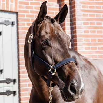 Halster Anatomic Nylon Marineblauw