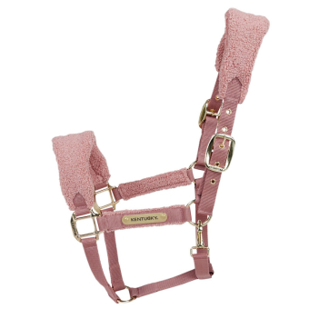 Halster Teddy Fleece Oudroze
