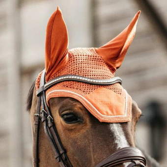 Oornetjes Wellington Velvet Oranje