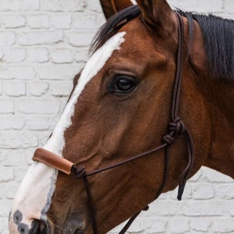 Touwhalster Grooming Deluxe Bruin