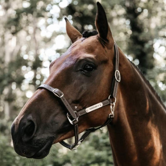 Leren halster Artificial Anatomic Flexible Bruin