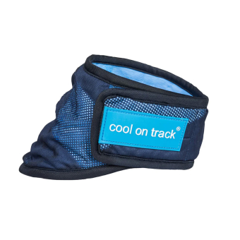 Hondensjaal/Bandana Cool On Track Blauw