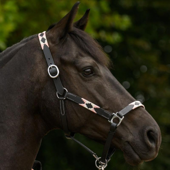 Leren halster Polo X-Line Zwart/Roze
