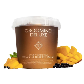 Paardensnoepjes Healthy Horse Treats Mango & Blackcurrant 500g