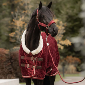 Wedstrijddeken Velvet Bordeaux