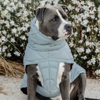 Hondenjas Winter Pina 160g Blauw