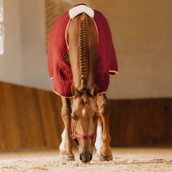 Koeldeke PROTherm Bordeaux