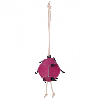 Paarden Speelgoed Bal Loop in Suède Roze