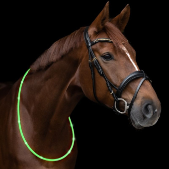 Halsring LED Light Groen