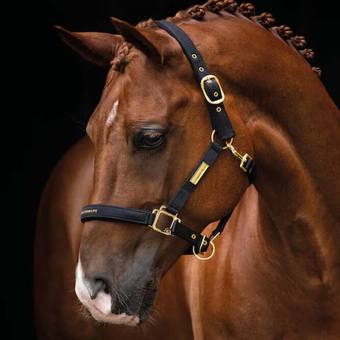 Halster HS Equestrian Life Zwart