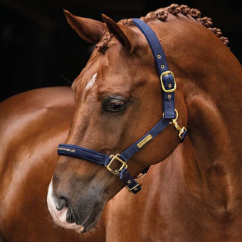 Halster HS Equestrian Life Marineblauw