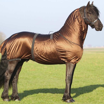 Eczeemdeken Big Neck Bruin
