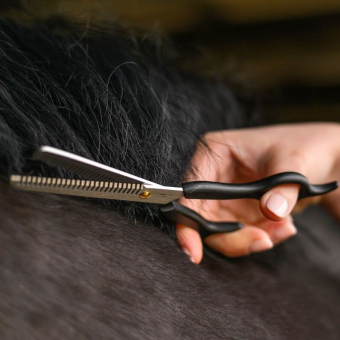 Effileerschaar Thinning Shears Zwart