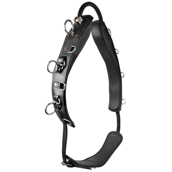 Longeergordel met Boog HS Zwart