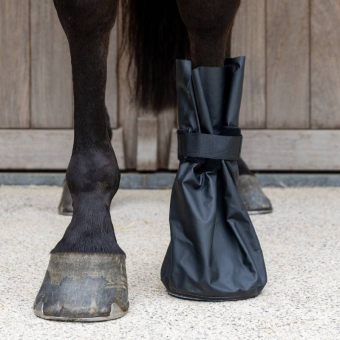 Hoefschoenen Medical & Ice 2-pack Zwart