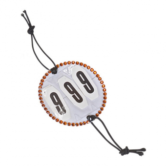 Startnummerkristal HG Goud