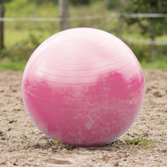 Paardenvoetbal Roze