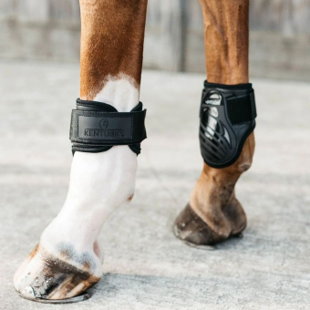 Kogelbeschermers Young Horse Shield Zwart