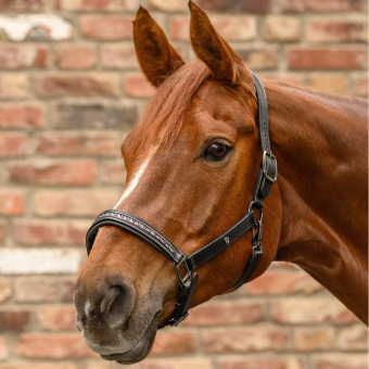 Leren halster Crystal X-Line Zwart/Roze