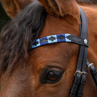 Frontriem Polo X-Line Zwart/Blauw