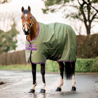 Regendeken Amigo Hero Ripstop Original 50g Fleece Lined Groen/Paars