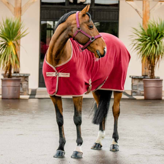 Fleecedeke Amigo Cooler Rood/Beige