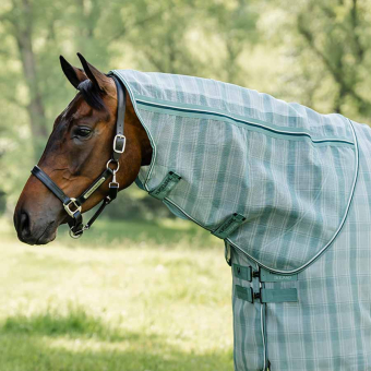 Halsstuk Newmarket Witney Dynasty