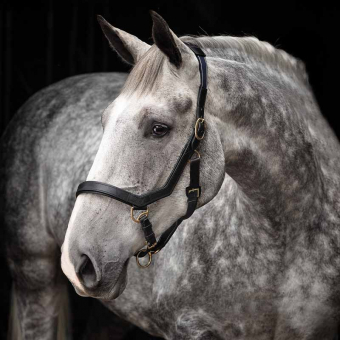 Lederen Halster Rambo Micklem Zwart