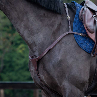 Borsttuig met lange brug DC Bruin