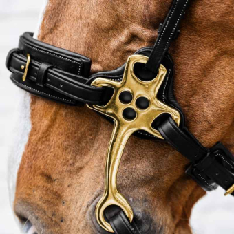 Hackamore Dyon Collection Zwart