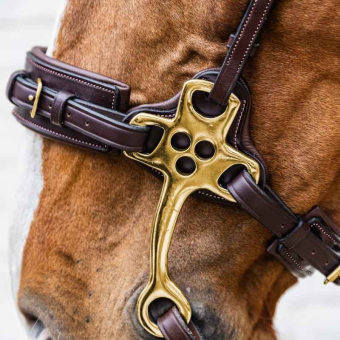 Hackamore Dyon Collection Bruin