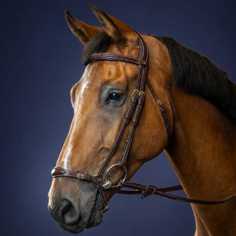 Hannoveraanse Hoofdstel Dyon Collection Bruin