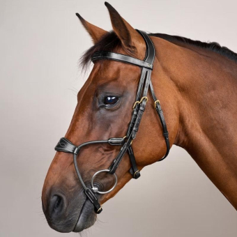 Hoofdstel Elastic Hybrid Dyon Collection Zwart