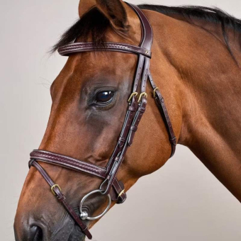 Hoofdstel Gecombineerde Neusriem Plaited Dyon Collection Bruin