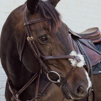 Hoofdstel Mexicaanse Neusriem Plaited Dyon Collection Bruin