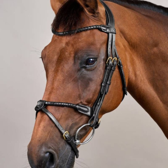 Hoofdstel Gecombineerde Neusriem Braided Dyon Collection Zwart