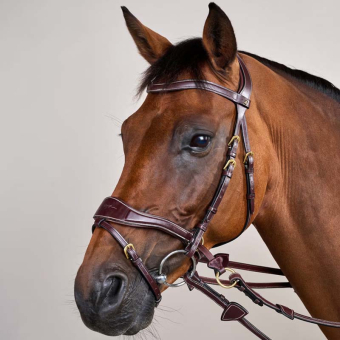 Hoofdstel D Motion Dyon Collection Bruin