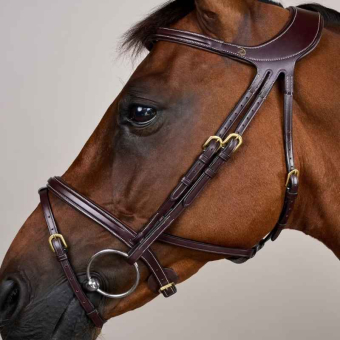 Hoofdstel Difference Dyon Collection Bruin
