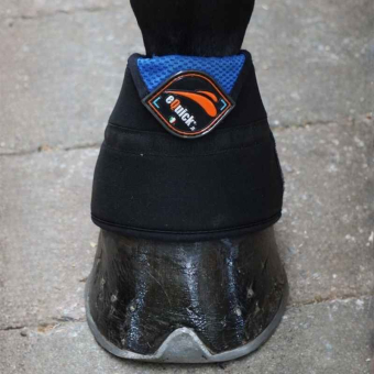 Koelhoefschoenen eArtik Zwart