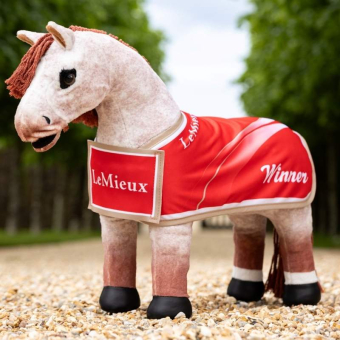 Wedstrijddeke Toy Pony Winners Rood