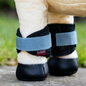 Beenbeschermers Toy Pony Grafter Zwart/Blauw