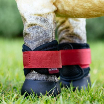 Beenbeschermers Toy Pony Grafter Zwart/Rood