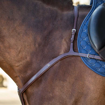 Borsttuig met lange brug NE Bruin