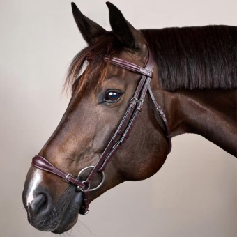 Hannoveraanse Hoofdstel New English Collection Bruin
