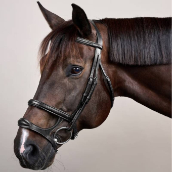 Hoofdstel Dubbele Neusriem New English Collection Zwart