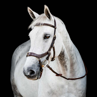 Trens Micklem 2 Multi Donkerbruin