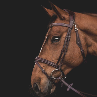 Hoofdstel Ready To Ride met Patroonstiksel Bruin